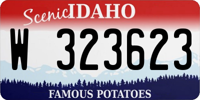ID license plate W323623