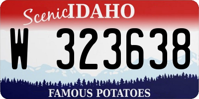 ID license plate W323638