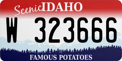 ID license plate W323666