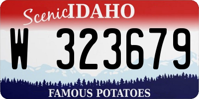 ID license plate W323679