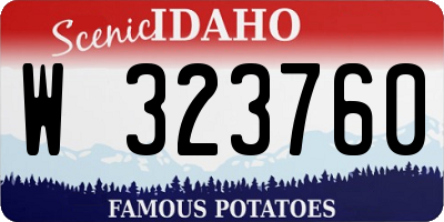 ID license plate W323760