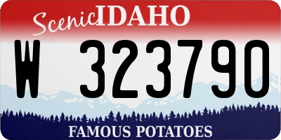 ID license plate W323790