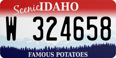 ID license plate W324658