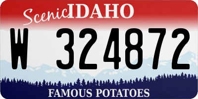 ID license plate W324872