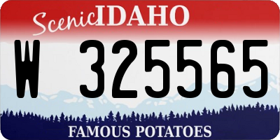 ID license plate W325565