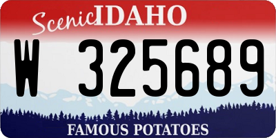 ID license plate W325689