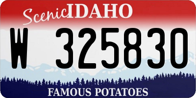 ID license plate W325830