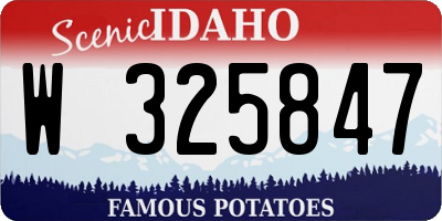 ID license plate W325847
