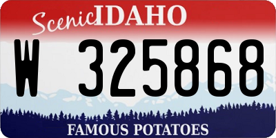 ID license plate W325868