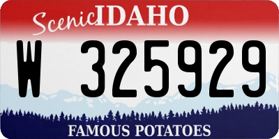 ID license plate W325929