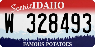 ID license plate W328493