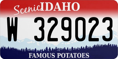 ID license plate W329023