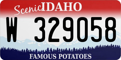 ID license plate W329058