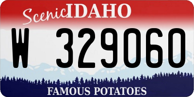 ID license plate W329060
