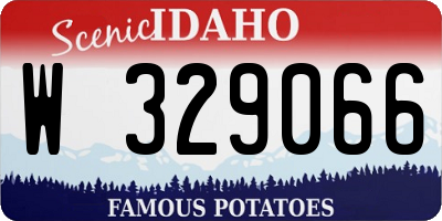 ID license plate W329066