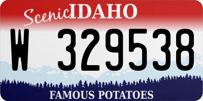 ID license plate W329538