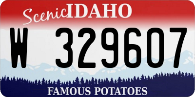 ID license plate W329607
