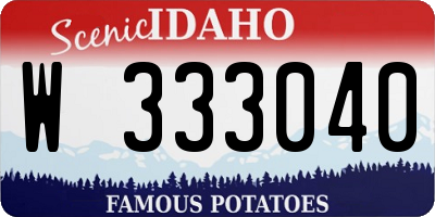 ID license plate W333040