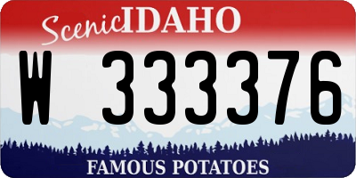 ID license plate W333376