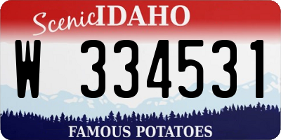 ID license plate W334531