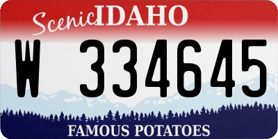 ID license plate W334645