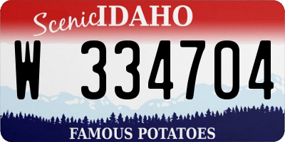 ID license plate W334704