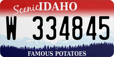 ID license plate W334845