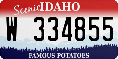 ID license plate W334855