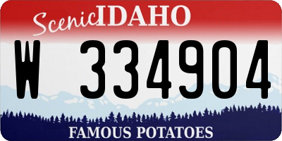 ID license plate W334904