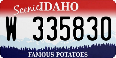 ID license plate W335830