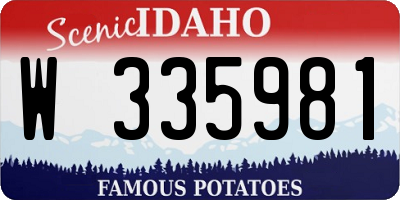 ID license plate W335981