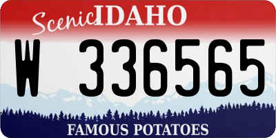 ID license plate W336565