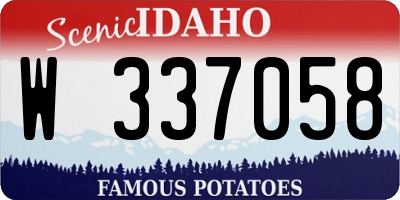 ID license plate W337058