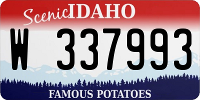 ID license plate W337993