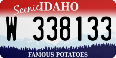 ID license plate W338133