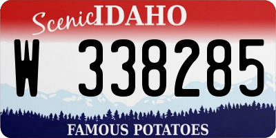 ID license plate W338285