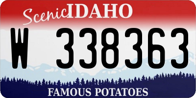 ID license plate W338363