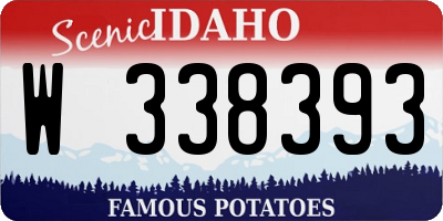 ID license plate W338393
