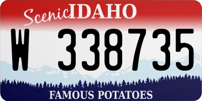 ID license plate W338735