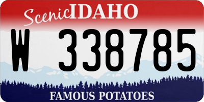 ID license plate W338785