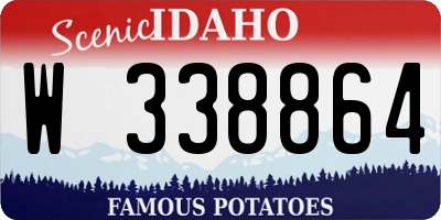 ID license plate W338864