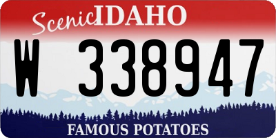 ID license plate W338947