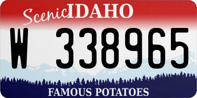 ID license plate W338965
