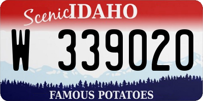 ID license plate W339020