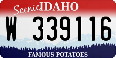 ID license plate W339116