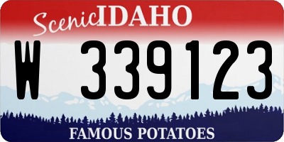 ID license plate W339123