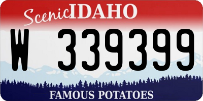 ID license plate W339399