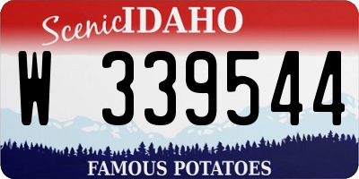 ID license plate W339544