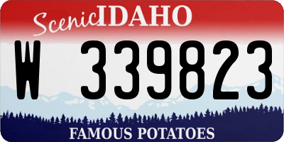 ID license plate W339823