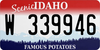 ID license plate W339946